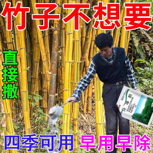 Cyclazinone is a special medicine to remove dead trees and rotten roots of large trees. Herbicide is a special medicine to remove big trees and remove rotten roots of bamboo. Genuine Cyclazinone 2Jin Jin is equal to 0.5kg