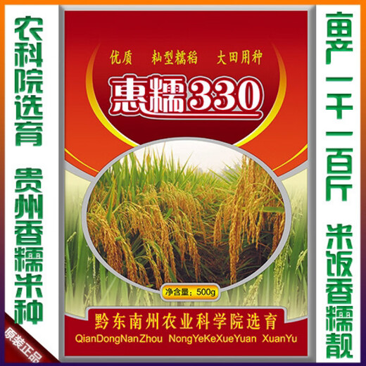 Guizhou glutinous rice seeds, long-grain fragrant glutinous rice seeds, paddy field seeds, Huinuo 330 pearl glutinous rice seeds, early and late rice seeds, regular Huinuo 330, one pack (500 grams of long glutinous rice)