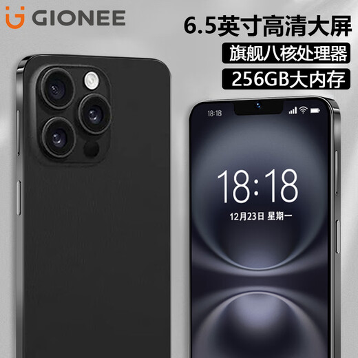 Gionees neuer 256 GB Octa-Core-Smartphone Ultra-dünner Batterielebensdauer Full Network Access verfügbar 5G Karten WeChat 8-Open 6,5-Zoll-Leinwand mit älteren Jahren ältere Computerstudent Backup-Backup-Backup-Black 8-Core + 32 GB