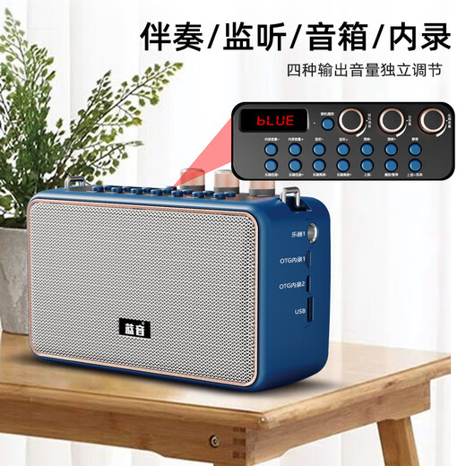 Lanyin Q12 electric blowpipe saxophone special speaker guitar playing and singing live broadcast internal recording instrument outdoor portable Bluetooth speaker Q12-Zang Lan full set of accessories + storage bag