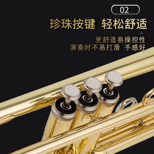 Yamaha Original Yamaha Trompeteninstrument B-Flat Tune Ytr-200dr Phosphor Bronze Studentin Leistungsabstufung Prüfung YTR-200DR Brass Model