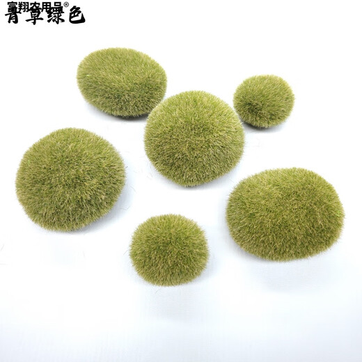 Immortal moss green plant wall moss lawn moss decoration DIY micro landscape white hair moss handmade materials Moss black brown (20g) cannot be put in water