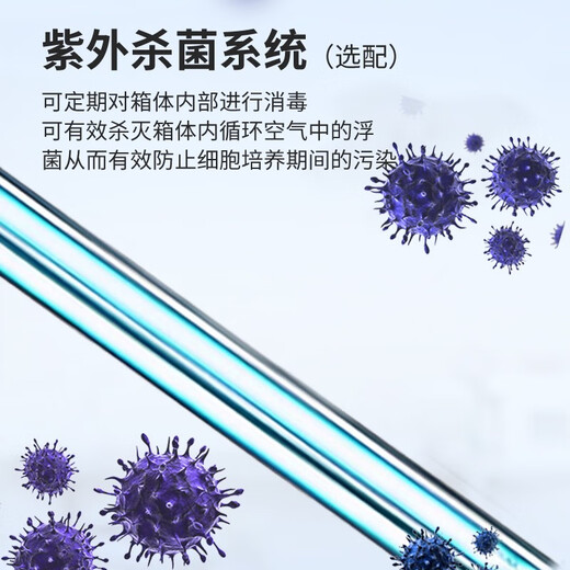 一恒上海电热恒温种子催芽箱微生物实验室细菌培养箱DHP-9012B DHP-9272B型电热恒温培养箱