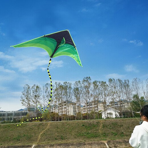 TaTanice风筝儿童户外玩具微风易飞成人大型手持潍坊草原风筝线轮生日礼物