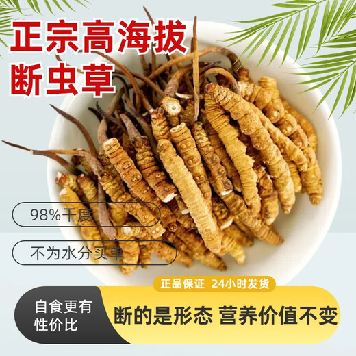 Authentischer tibetaner Cordyceps sinensis hohe Höhe Cordyceps Sinensis großes gebrochenes Gras echtes Cordyceps Sinensis sich selbst gegessenes hochwertiges authentisches Tibet Nagqu hochlöslich Cordyceps Sinensis 10 Gramm Pack 1 Gramm, insgesamt 11 Gramm