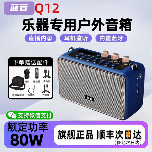 Lanyin Q12 electric blowpipe saxophone special speaker guitar playing and singing live broadcast internal recording instrument outdoor portable Bluetooth speaker Q12-Zang Lan full set of accessories + storage bag
