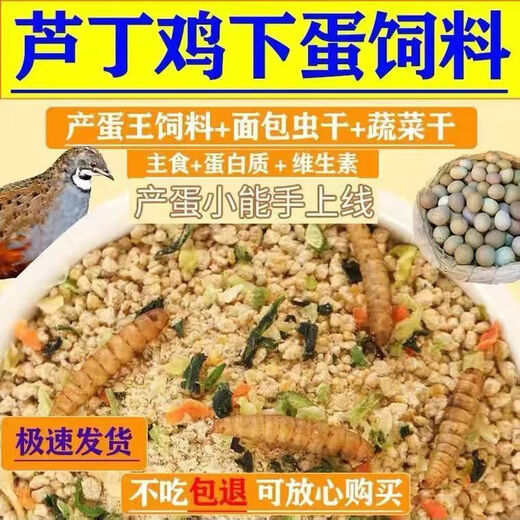 Rutin chicken special feed Rutin chicken egg production feed mealworm brooding feed quail feed high protein 2Jin Jin equals 0.5 kg brooding food containing mealworms dried vegetables