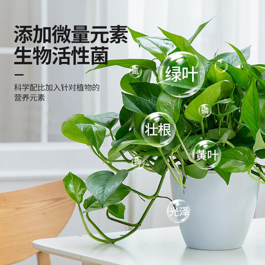 Lingwo plant universal nutrient solution flower fertilizer household concentrated potted wealth tree rich bamboo green dill succulent hydroponic flowers universal 500ml*1 bottle