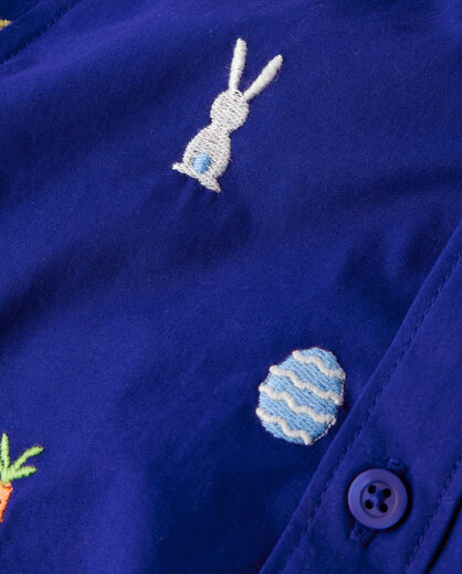 GYMBOReeGymboree, Boys and Toddlers Short Sleeve Button-Down Shirt, Navy Narrow, 2T Navy Narrow 2T