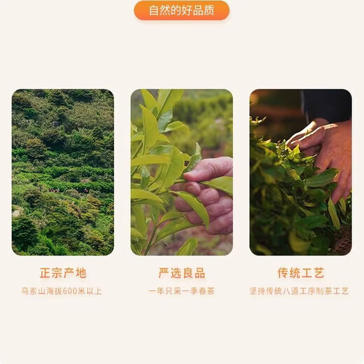 天池鸭屎香1392单枞春茶鸭屎香单枞茶炭焙乌龙茶罐装320g 天池320系列鸭屎香  一罐