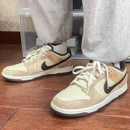 耐克（NIKE）【潮】男鞋女鞋Dunk Low Retro低帮复古防滑耐磨轻便透气休闲板鞋 DD1391-700 36