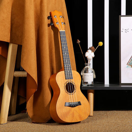 Jingjia Musical Instrument Internet Promi Ukulele weibliche kleine Gitarrenanfänger 23-Zoll-Schüler Kinder Jungen und Mädchen [23 Zoll] Schwarz-Weiß-Kontrast Voller Accessoires + Tuner