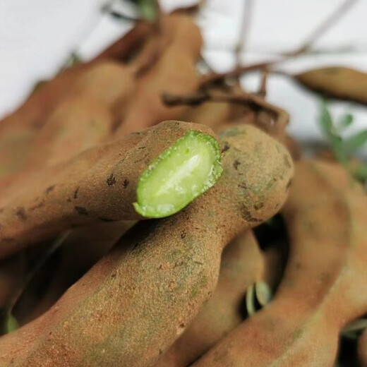 Laidong Tamarind Seeds, Yunnan Sweet Tamarind, Sweet Tamarind, Sour Plum, Green Tamarind, Tamarind, Tamarind, Tamarind, Tamarind, Tamarind, Tamarind Seeds, 5 capsules + fertilizer