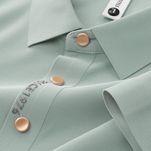 Jasonwood High-End Brand Herren-Kurzärärmel-T-Shirt Herren Sommer Revers Traaceless Ice Seidengeschäft Casual Herren Polo T-Shirt High-End Bean Green 702 [Spot Speed] XL (180/100a) schlägt 131-140jin vor [Jin gleich 0,5 kg]