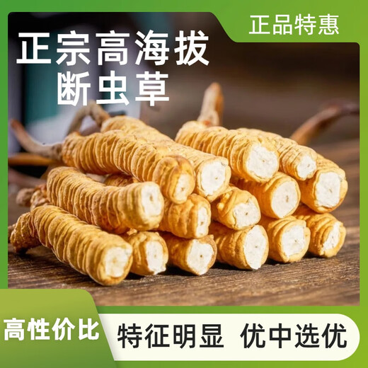 Authentischer tibetaner Cordyceps sinensis hohe Höhe Cordyceps Sinensis großes gebrochenes Gras echtes Cordyceps Sinensis sich selbst gegessenes hochwertiges authentisches Tibet Nagqu hochlöslich Cordyceps Sinensis 10 Gramm Pack 1 Gramm, insgesamt 11 Gramm