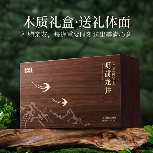 西湖狮井明前特级龙井2025新茶叶礼盒装250g绿茶高端节日礼品送长辈领导