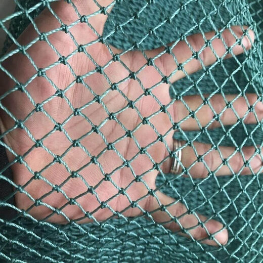 Chicken net, chicken net, fishing net, breeding net, fence net, nylon vegetable garden fence, climbing vine grid, chicken net, protective fish net, thickened 18 strands, 3 cm, thickened ribs, 1.2 meters high, 10 meters long