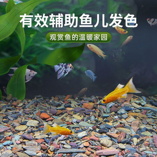 Stream stone ultra-fine bottom sand fish tank turtle tank bottom sand stream sand bottom stone fish tank landscaping stone native stone 3 to 5 cm 30 Jin Jin is equal to 0.5 kg.