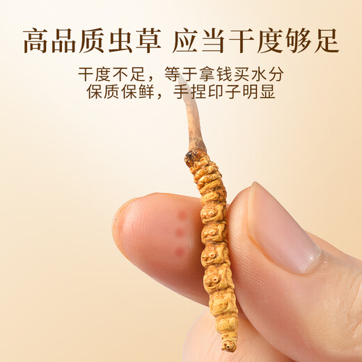 万草康仁冬虫夏草精选草藏区鲜干虫草滋补营养送母亲节礼物滋补品送长辈 3根/克 100g（礼盒装）送5g同款+藏红花*2