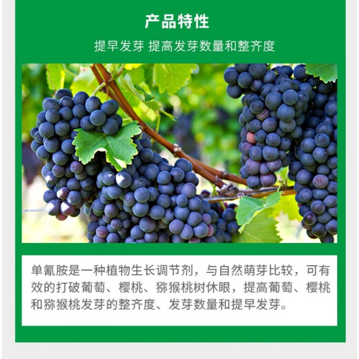 Beautiful bud sleep-breaking germination accelerator 50% monocyanamide grape nectarine cherry kiwi fruit monocyanamide monocyanamine bud promotion 250g*2 bottles