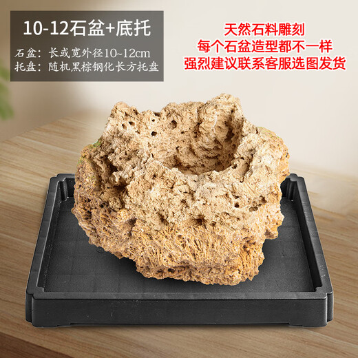 Stone flowerpot absorbent stone water-absorbing stone original stone natural flowerpot with asparagus bamboo and calamus succulents micro landscape pot 10-12cm stone pot + tempered rectangular holder