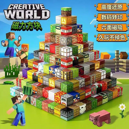 Danmiqi Magnetic Building Blocks My World Magnetic Square Building Blocks Large Grain Children's Toys Gifts for Boys and Girls 3-6 Years Old