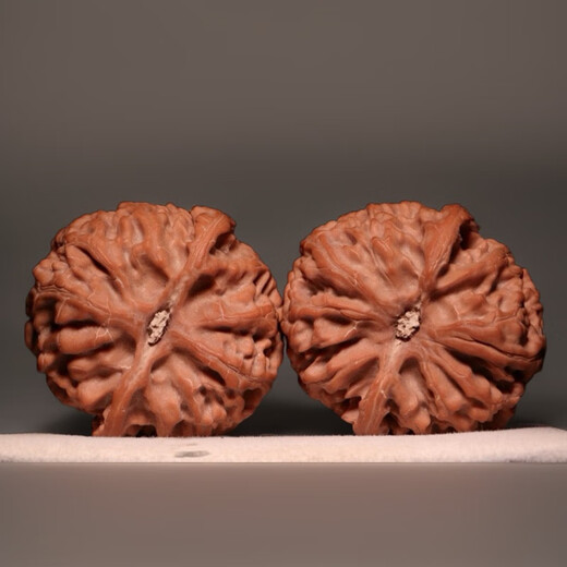 
DR-FLVVS Nanjiang Stone Walnut Cultural Play Apple Orchard Lion Head Mentougou Old Tree Short Stump Pointed Pointed Sphere Playing Non-Four Buildings 16778[45 Apple Orchard]