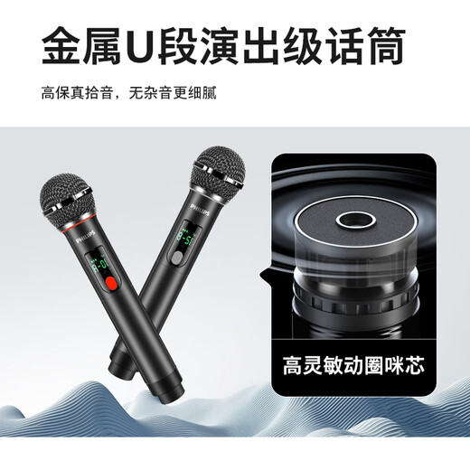 Philips square dance audio outdoor stage high-power mobile portable trolley commercial conference speaker wireless Bluetooth high volume karaoke amplification with dual microphone SD190 karaoke system + horn tweeter