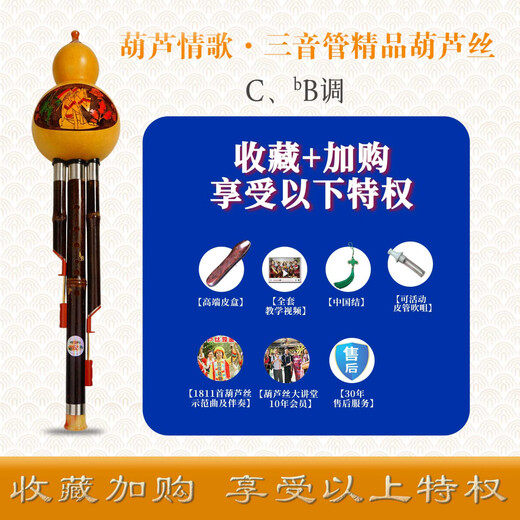 金呱牌蓝色经典三音管葫芦丝学校专用好吹葫芦丝C调 C调