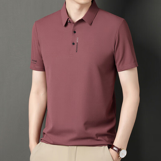 皮尔卡丹（pierre cardin）短袖T恤男2025夏季新款冰丝polo领商务休闲纯色半袖衫父亲节礼物 JS-677黑色 XL