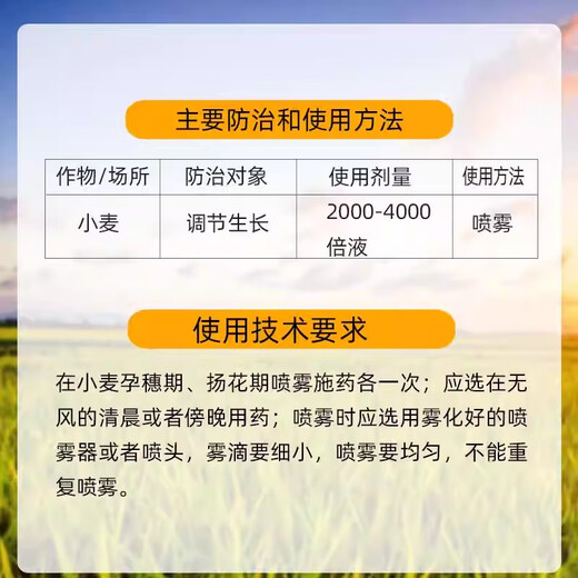 Lezhuangfeng 28 high brassinolide wheat plant growth regulator strong seedlings and strong seedlings Yuntai lactone 100ml