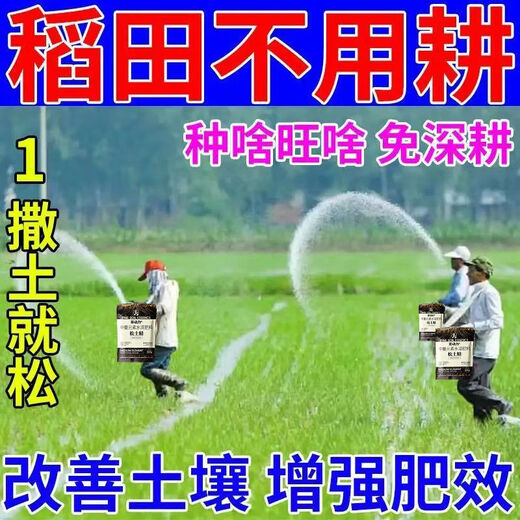芽动力松土精疏松土质疏松改善土壤活化剂破除板结免深耕调理盐碱改良剂 2袋【永久增产】强烈推荐