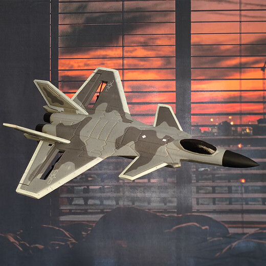 Tema Tongtong Remote Control Fighter J20 Aeronave Boys And Boys Birthday Regalo Niños Modelo de ala fija Juguetes Aeronave 16 minutos Large J20 TDAD 4-WAY 20 Modelos