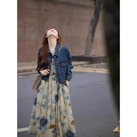 Luge Weste Kleid Retro Literary Temperament Neue chinesische Stil Frühling und Sommer langer Rock Frauenkleidung 2025 NEU NICE Design Sense Tinte Malerei Kleid L [vorgeschlagen 105-115jin [Jin gleich 0,5 kg]]