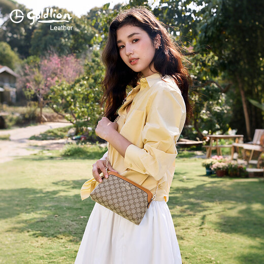 Goldlion Women's Bag New Shoulder Bag Versatile Crossbody Bag Lightweight Clutch Bag Gift for Mom and Girlfriend Brown Brown Small Bag