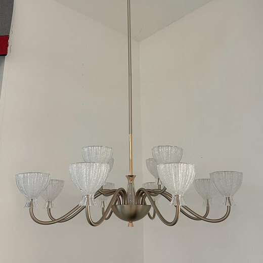 
Opp Lighting; OPPLE2025 new past lighting 9227 high-end solid modern living room dining room chandeliers minimalist aluminum warm light bag 12 heads living room three-color unlimited remote control