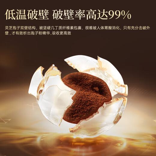 芝正元三萜＞15% 端午节 礼盒 破壁灵芝孢子粉提高免疫力老人保健品礼物 【季套餐-3礼盒】周期改善身体-60%客户选择