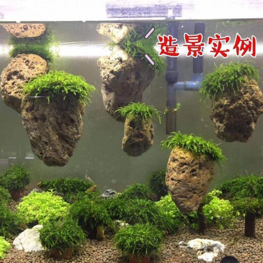Runhuanian fish tank aquatic plant landscaping stone Moss pumice stone Avatar suspended stone lazy water plant waterscape fish and shrimp avoidance ornaments suspended stone 5-8 cm each glue the water plants