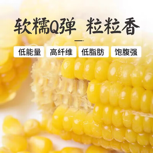 Box of 12 authentic Northeast yellow waxy corn vacuum packed sweet and sticky fresh non-GMO meal replacement