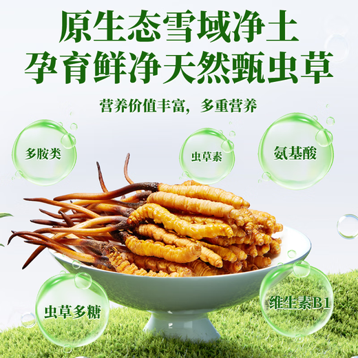 2025 frischer Cordyceps sinensis obere Periode ausgewählt frisch cordyceps Jedes frische Cordyceps in Tibet hat 0,6 Gramm 80 Stücke gepackt