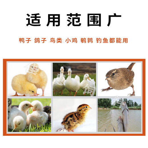 Freshly hatched chick feed, chick small pellet feed, chicken food, ducklings, ducks and geese, free-range chicken, duck and goose feed, 0-7 weeks chick feed, 2Jin Jin is equal to 0.5kg