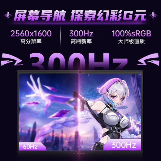 七彩虹（Colorful）隐星G16 Pro游戏笔记本电脑300Hz高刷2.5K电竞屏P16酷睿i9学生AI设计师畅玩黑神话悟空25款新品 白色I9-13900HX 64GB 1TB定制 满血RTX5070Ti电竞独显