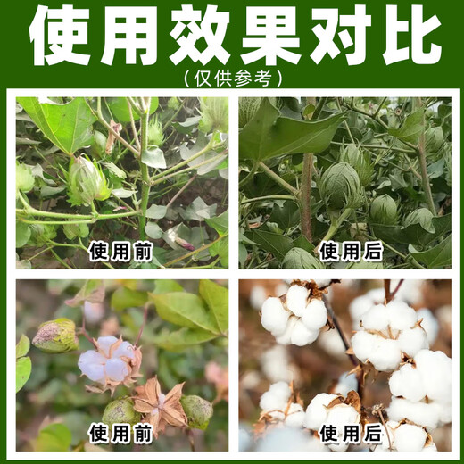 Barometer 1.8% Sodium Nitrophenolate Plant Growth Regulator Cotton Regulates Plant Growth Authentic Pesticide Sodium Nitrophenolate 200g*10 Bottles Best Selling in Stores