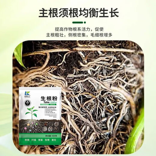 Powerful Rooting Powder Rapid Rooting and Seedling Strengthening Agent Rooting Powder Rapid Rooting Powerful Rooting Liquid Rooting Powder for Transplanting Rooting Powder 1Jin Jin is equal to 0.5kg, 3 packs