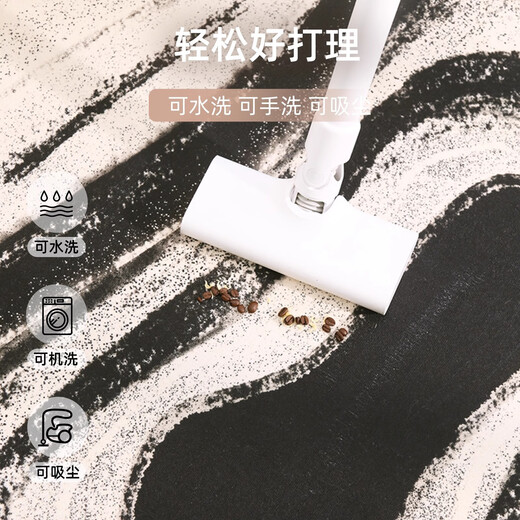异形家用客厅地毯侘寂风卧室床边毯免洗可擦不规则沙发茶几毯地毯 温婉-15861 240*360cm