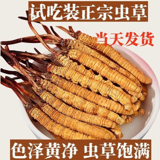 Cordyceps gift box Cordyceps gift box for elders Cordyceps nutritional tonics health products and medicinal tonics, 2 1 gram of Nagqu, Tibet, 200 gift boxes for 7 items