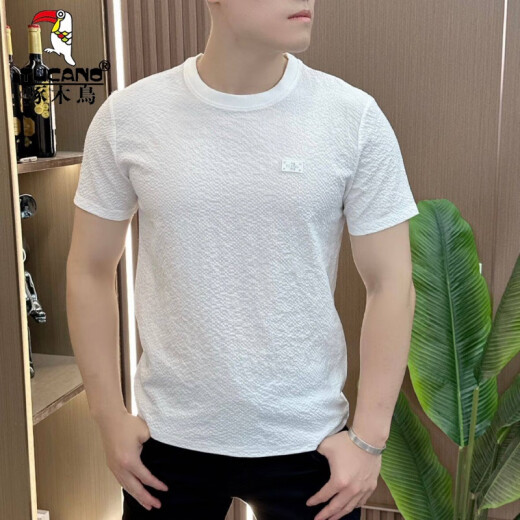 啄木鸟（TUCANO）2025新款男士短袖T恤夏季轻奢百搭圆领凉感高品质潮流半袖冰丝衫 1105白色 轻奢质感 XL 125-145斤