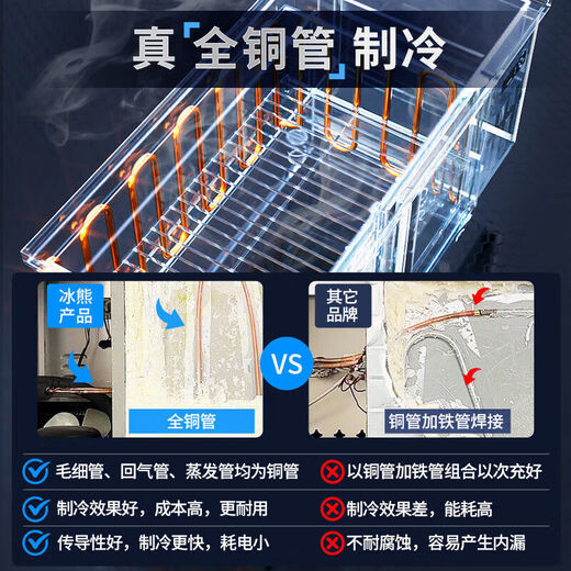 冰熊（bingxiong）冰柜商用省电王家用冰箱铜管大容量双温冷冻冷藏双门卧式冷柜 BC/BD-1098
