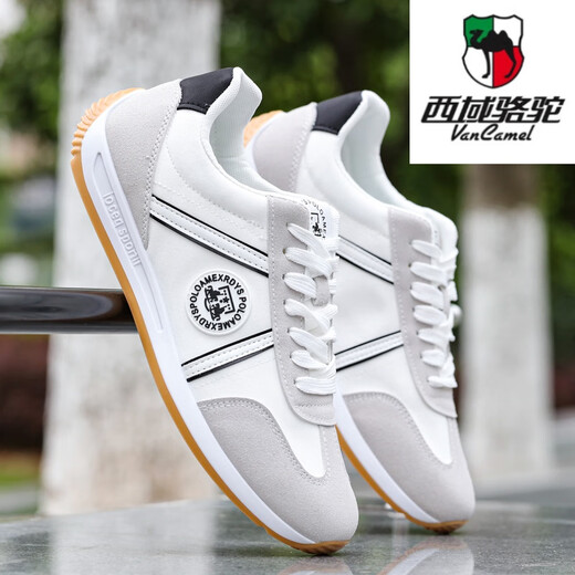 西域骆驼（VANCAMEL）男鞋春季透气2025新款帆布休闲布鞋男士软底防滑男士运动小白潮鞋 AW9902 白色 39