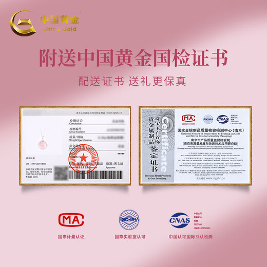 Chinese Gold Lychee Ice Silver Necklace for Women 2025 New Jade Pendant Girls Niche Birthday Gift for Girlfriends and Best Friends Lychee Ice Necklace